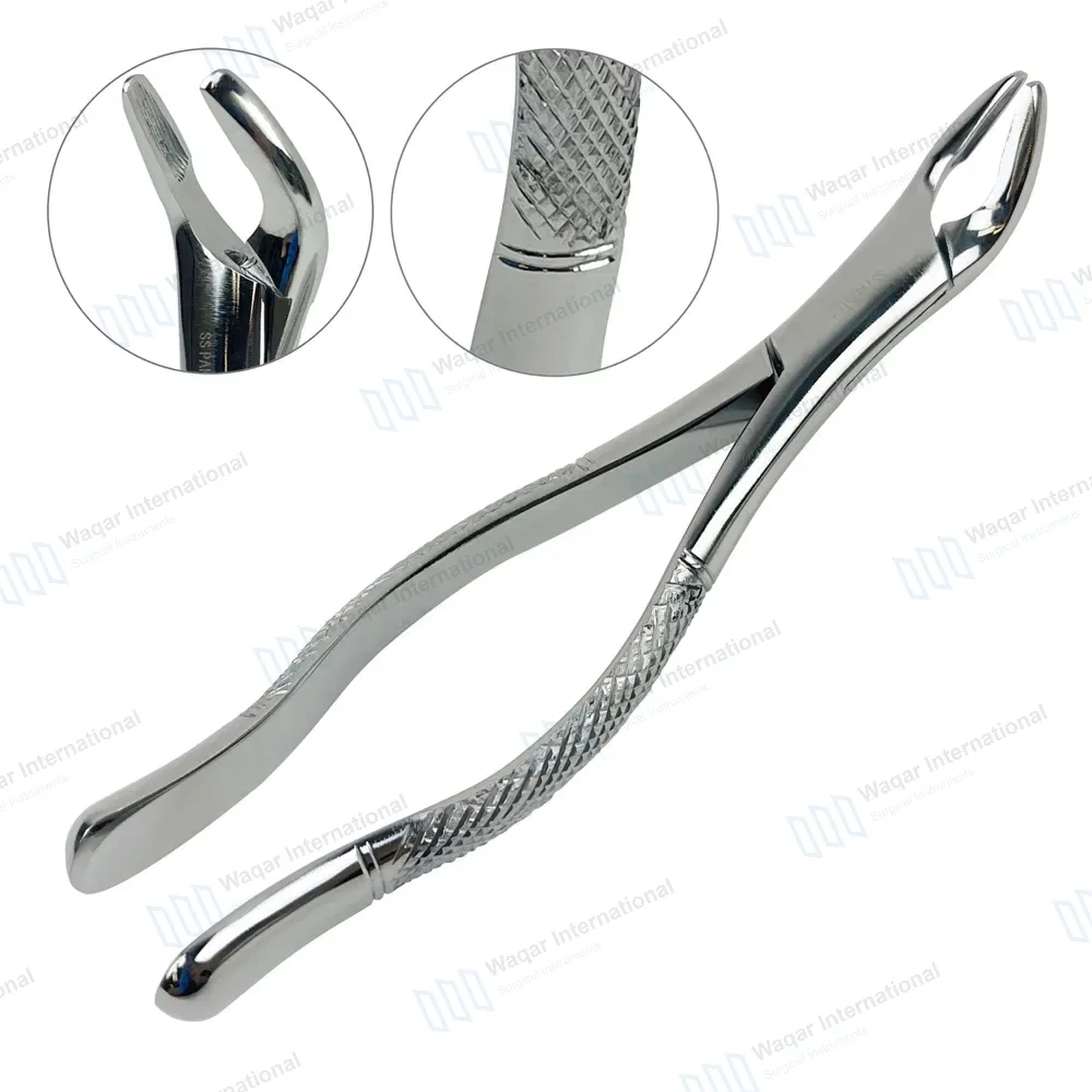 American Extracting Forceps #151A