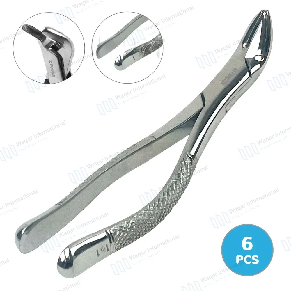 6 Pedo Extracting Forceps #151S Dental Surgical Instrument