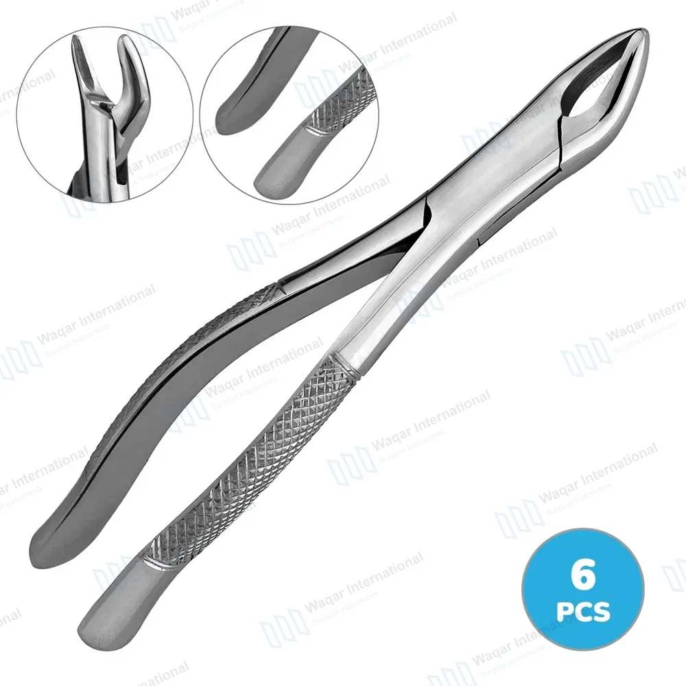 6 Pcs Extracting Forceps #62 Upper and Lower Anterior Teeth