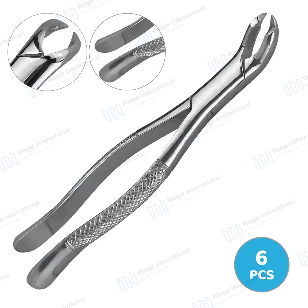 6 Extracting Forceps 3FS Dental Surgical Instruments