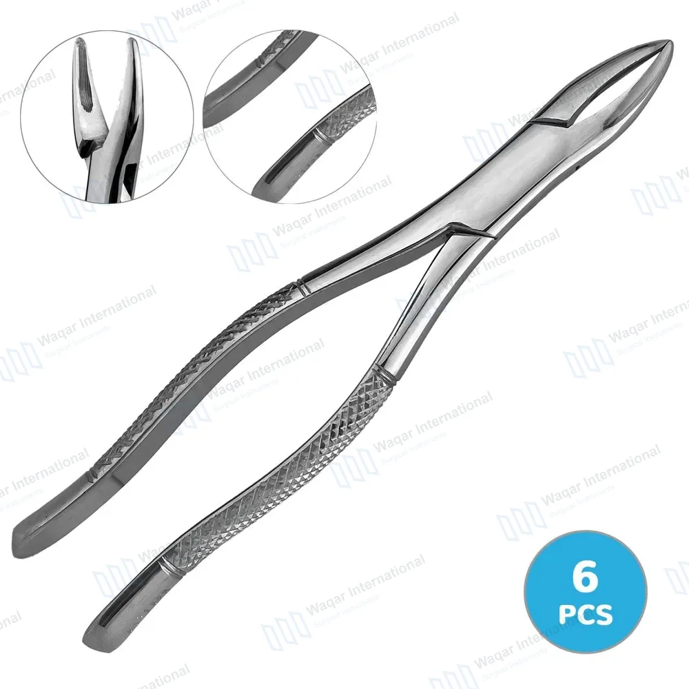 6 Extracting Forceps Dental Surgical 1 Hen