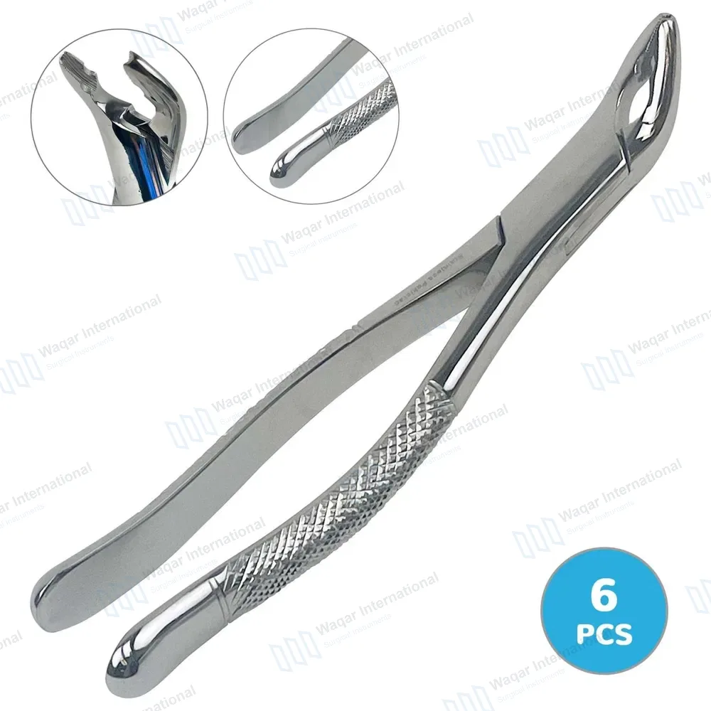 6 Dental Extracting Forceps #150AS Upper Anteriors