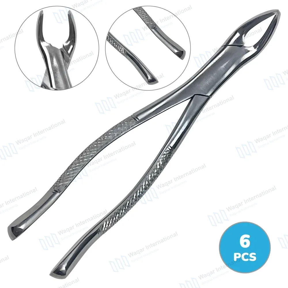 6 Universal Extraction Forceps #151 for Lower Teeth