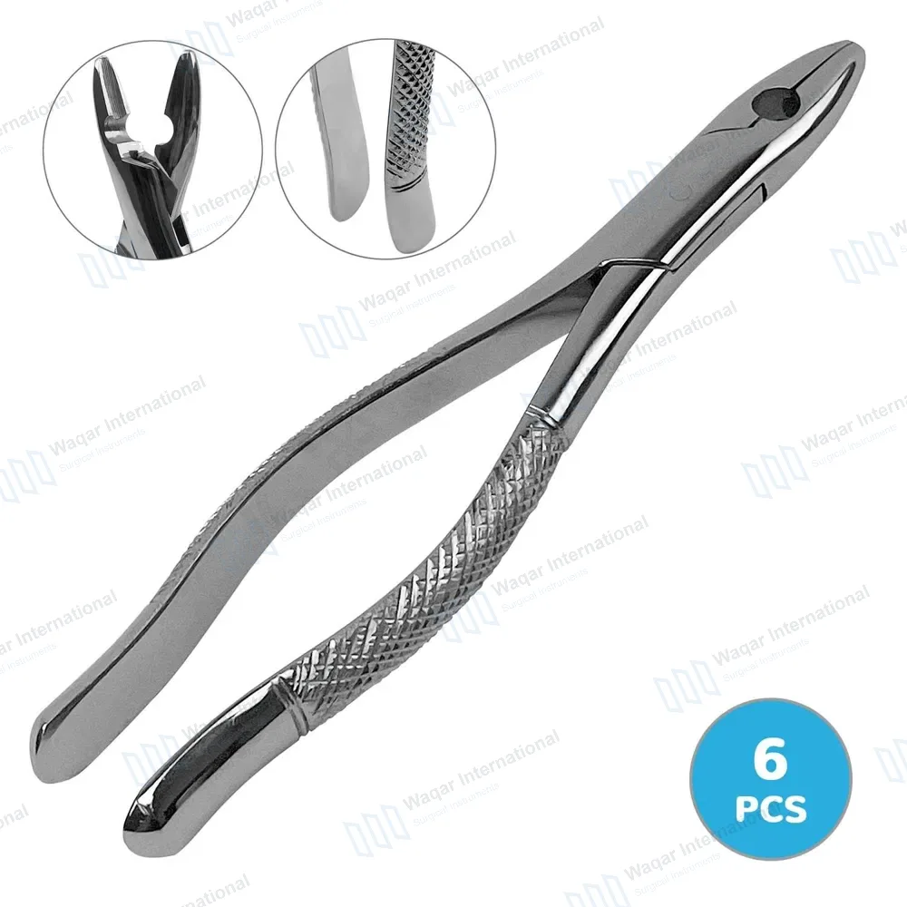 6 Dental Extracting Kells Forceps #99C