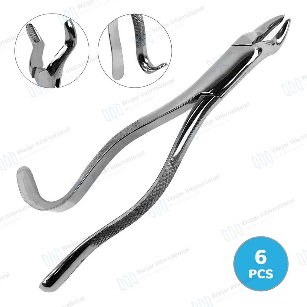 6 Pcs Dental Extracting Forceps #210H Upper 3rd Molars