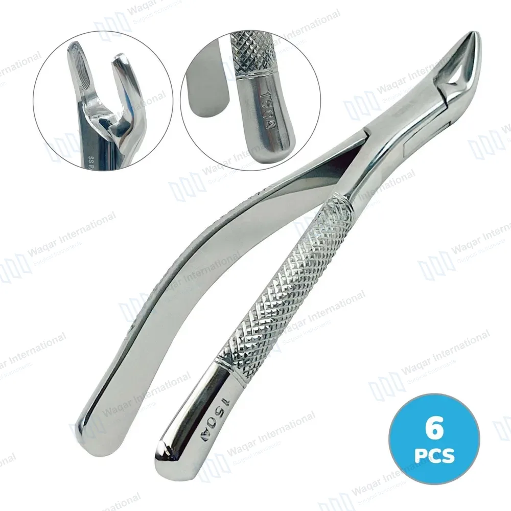 6 Extracting Forceps #150A for Upper Inscisors, Cuspids and Bicuspids