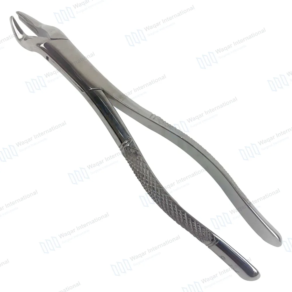 6 Pcs Extracting Forceps #53R for Upper 1st & 2nd Right Molars