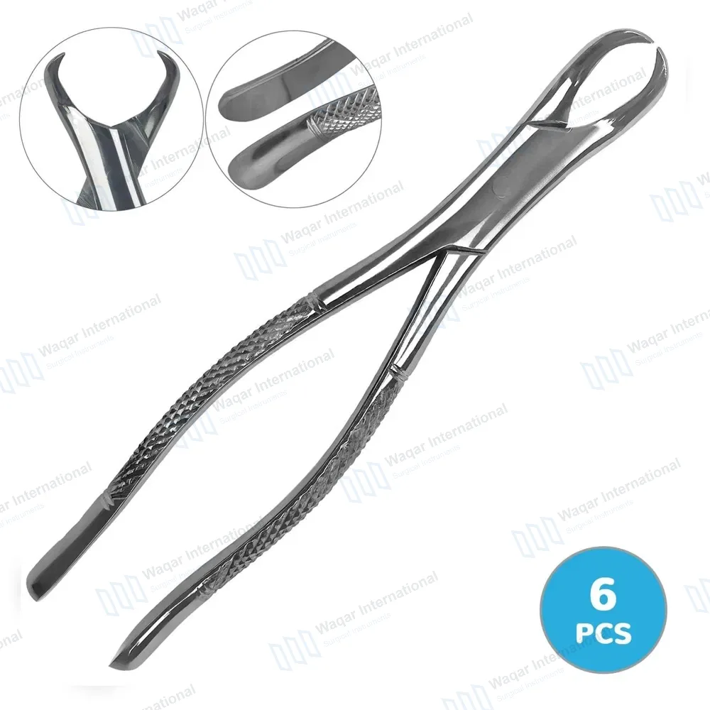 6 Pcs Dental Extracting Forceps #23 Cow Horn for Lower Molar