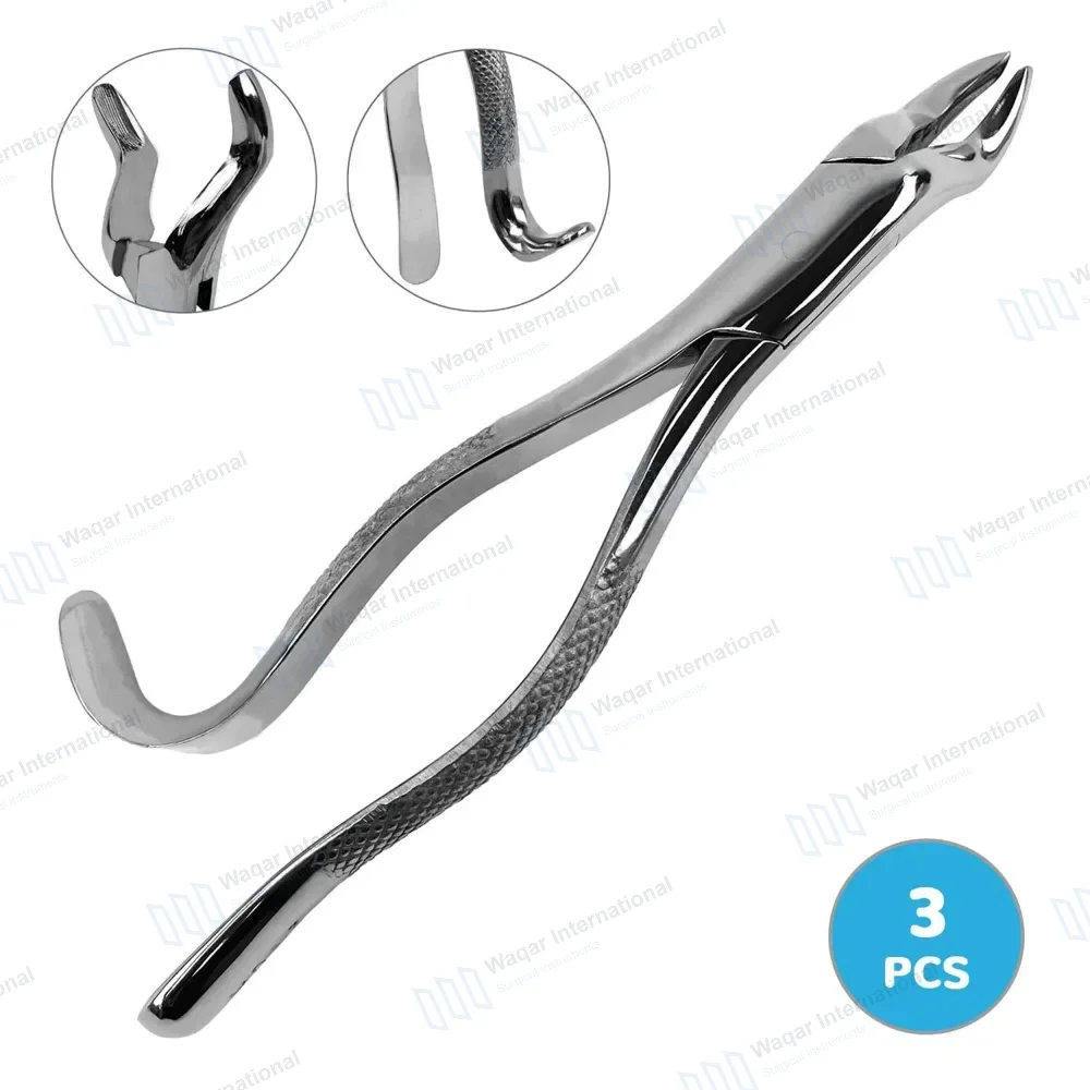 3 Pcs Dental Extracting Forceps #210H Upper 3rd Molars