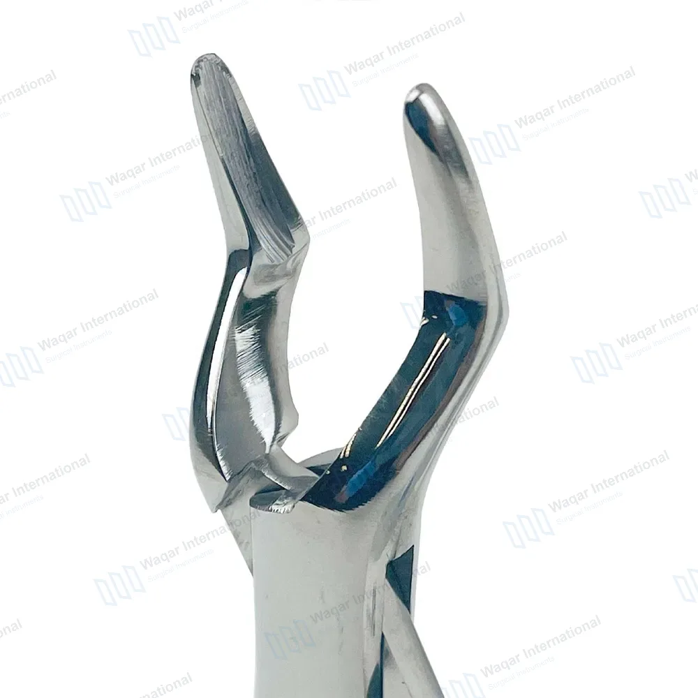 3 Pcs Dental Extracting Forceps 32A Molars Root – Slim Beak