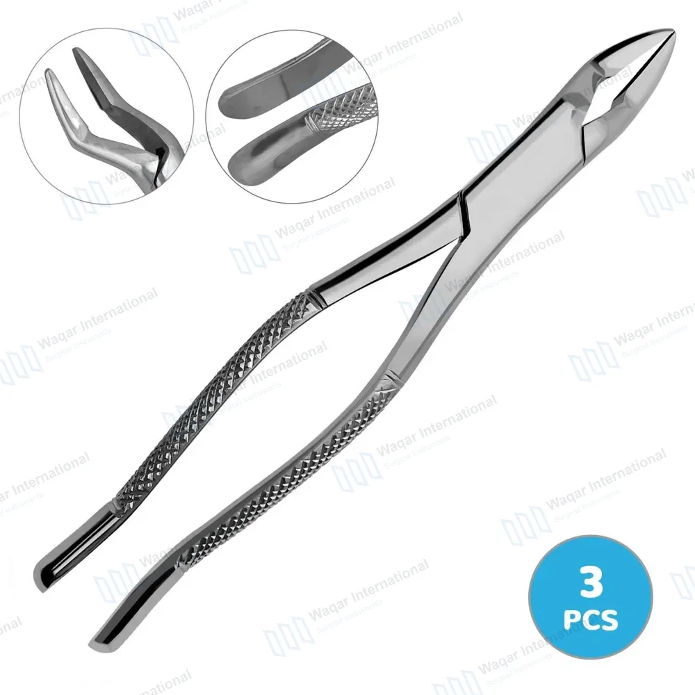 3 Pcs Dental Extracting Forceps #32
