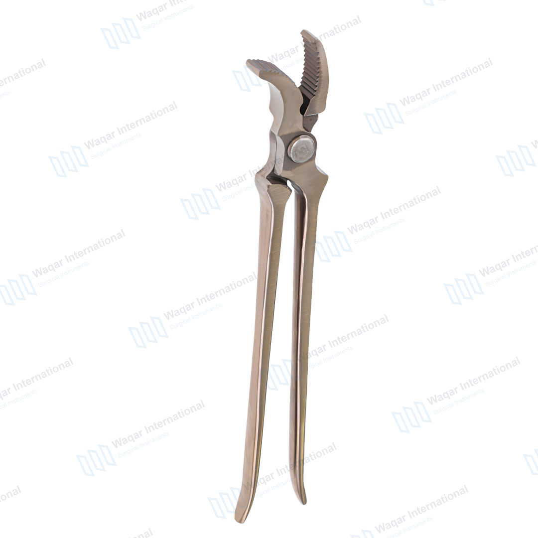 Veterinary Stainless Steel Curved Jaw Forceps Animal Surgery — surgical instruments manufactured by Waqar International, Sialkot